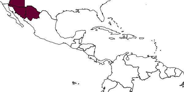 map of Agathirsia davidi     Pucci & Sharkey, 2004